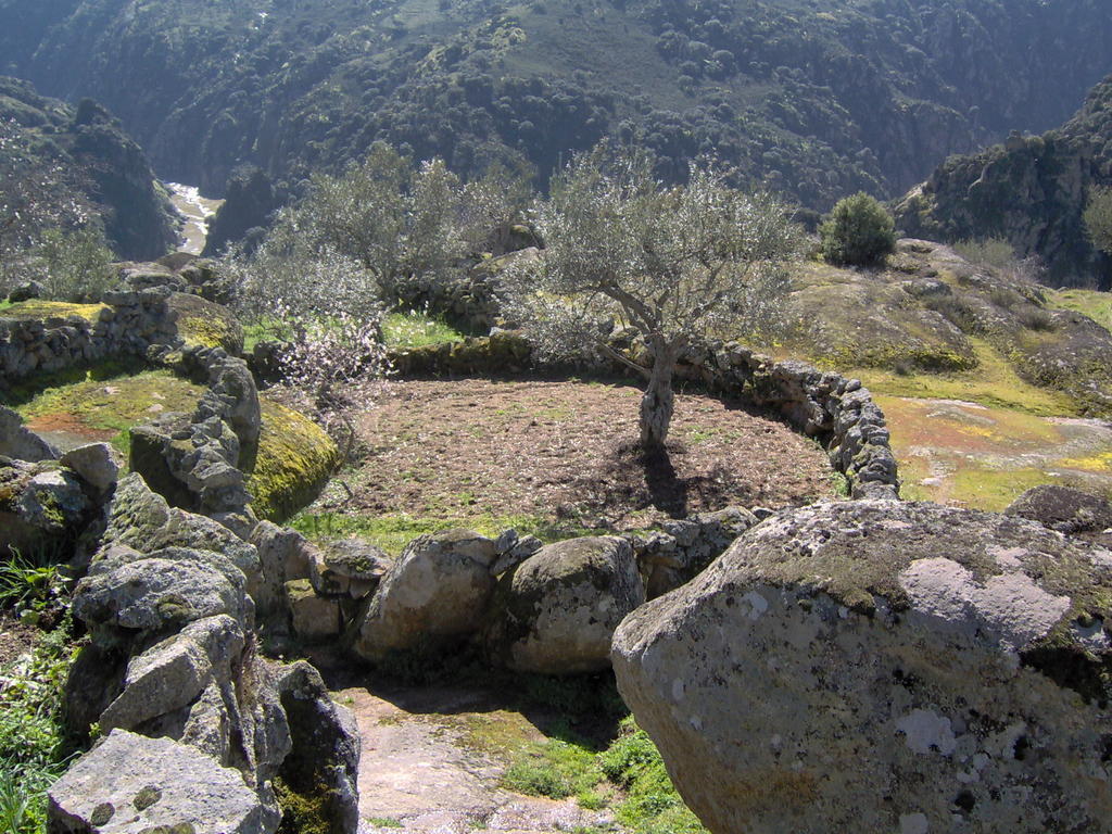 Casa De L Barrio Pension Picote Buitenkant foto
